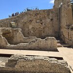 Photo taken by Marcia B