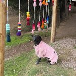 Photo taken by Alyssa R