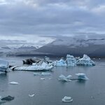 Photo taken by Janice R