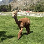 Photo taken by susan s