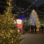 Photo taken by Paulette C