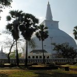 Photo taken by Alfred T