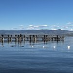 Photo taken by Fernanda S