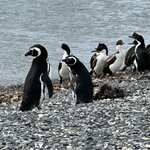 Photo taken by Yelena L