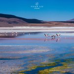 Photo taken by Yifan L