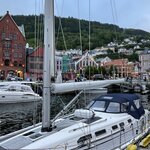 Photo taken by Susan K