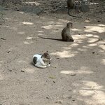 Photo taken by Kari I