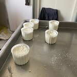 Photo taken by Lexie D