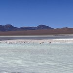 Photo taken by Shirley S