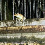 Photo taken by Mark A