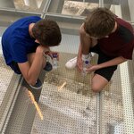 Photo taken by Dianne T