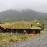 Photo taken by Prem P