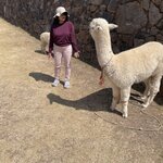 Photo taken by Shanthi V