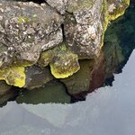 Photo taken by Pamela C