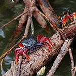 Photo taken by Linda M