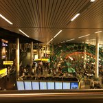 Photo taken by Lisa R