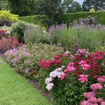 Savill Border Garden | Photo taken by Steven Lee J