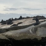 Photo taken by Art V