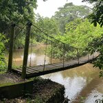 Photo taken by Michael L