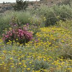 Photo taken by Marcia G