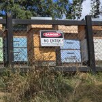 Photo taken by Iris W