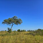 Photo taken by Kaye D