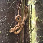 Photo taken by Chris G