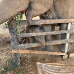 Photo taken by Aya I