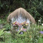 Photo taken by Miranda M