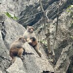 Photo taken by Chad K