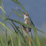 Photo taken by Graham D