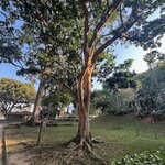 Photo taken by Marur Dev D