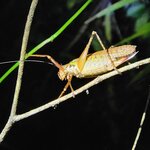 Photo taken by Tom B