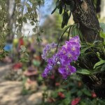 Photo taken by Beatrix K