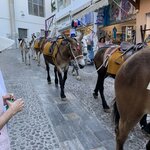 Photo taken by Dianne T