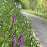 Photo taken by Laura H