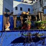 Photo taken by Bianca C