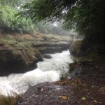 Photo taken by Sarah E