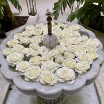 Photo taken by Paula F