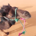 null | Photo taken by Wayne P