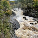 Photo taken by Danielle P