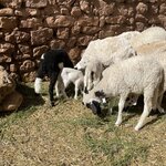 Photo taken by Rajgopal I