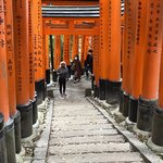 Photo taken by Kirti P