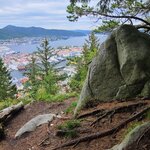 Photo taken by Tamara N