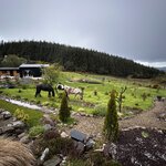 Photo taken by Laura F