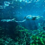 Photo taken by Elena R