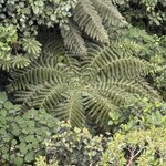 Photo taken by Ben B