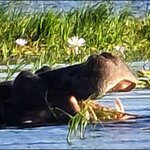 Photo taken by Kaye D