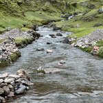 Photo taken by Lori S