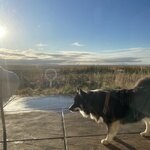 Photo taken by Marcos M